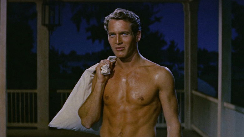 кадр из фильма Долгое жаркое лето