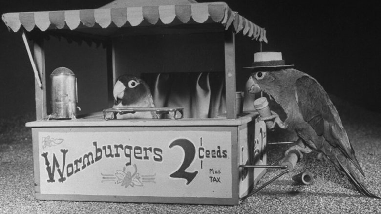 кадр из фильма Bill and Coo