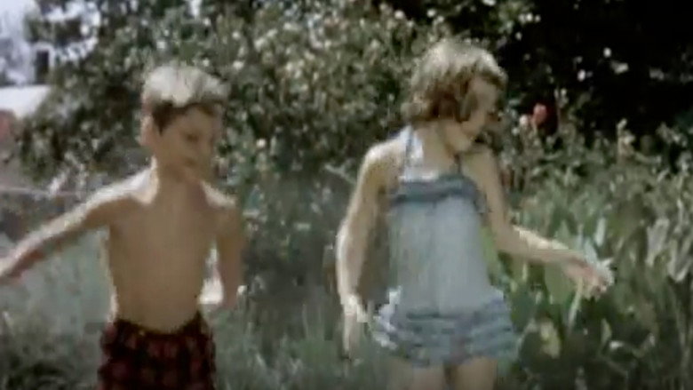 Summer Is An Adventure