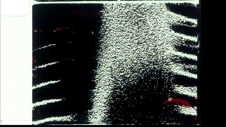кадр из фильма Echoed Silence