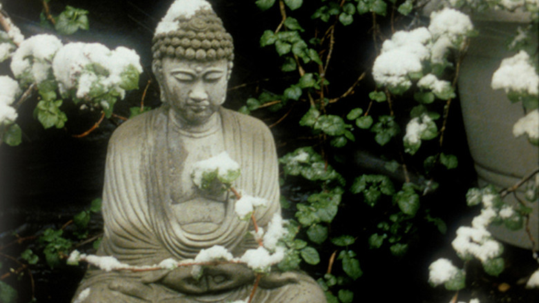 кадр из фильма The Odds of Recovery