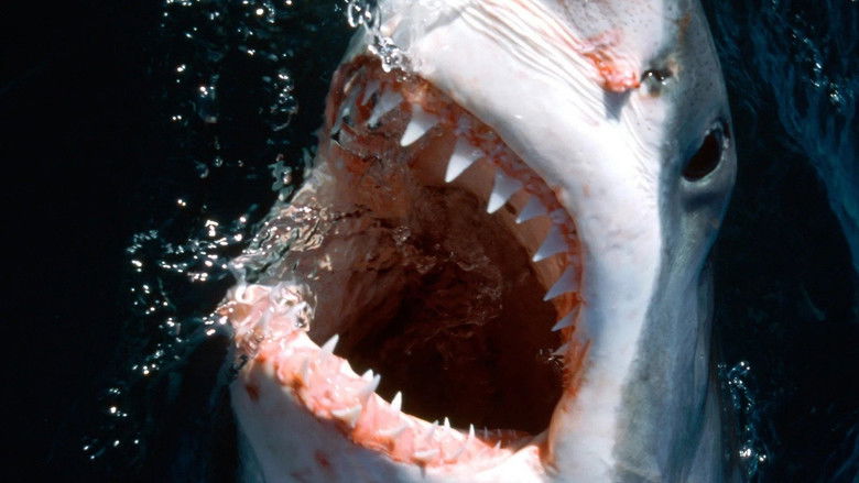 кадр из фильма 10 Animals That Will Kill You