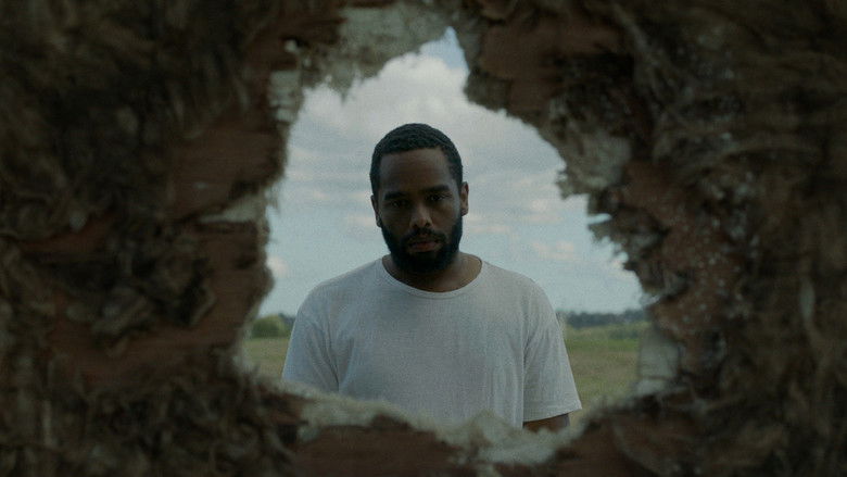 кадр из фильма We Used to Own Houses