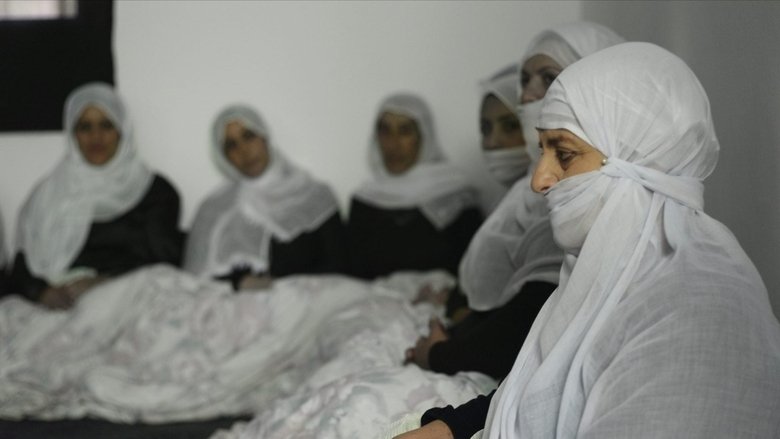 кадр из фильма Arabani