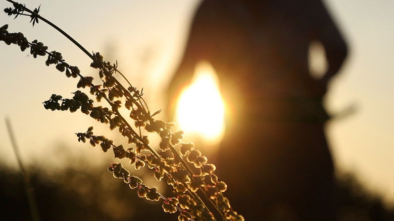 кадр из фильма Zahrada Boží