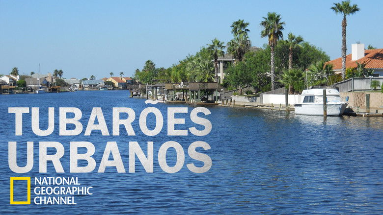 кадр из фильма Sharks in the City: Bull Sharks in the Backyard