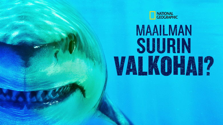 кадр из фильма World's Biggest Great White?