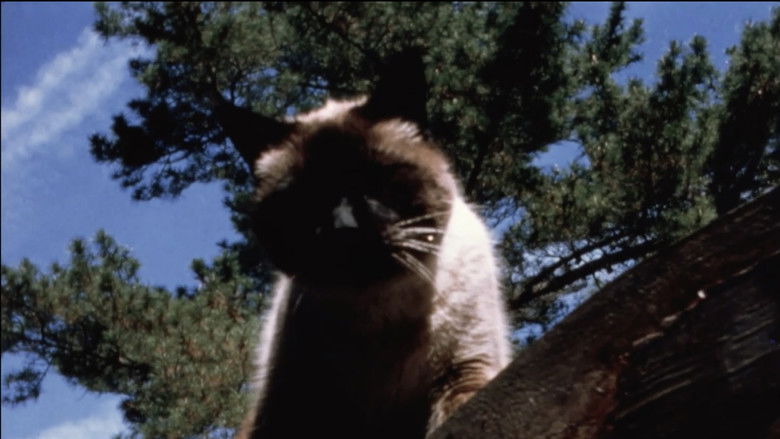 кадр из фильма Arbor Vitae