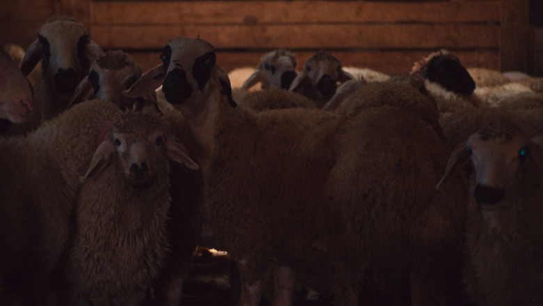 кадр из фильма Çiçek