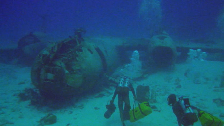 кадр из фильма Охотник на акул