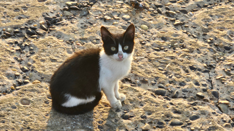 кадр из фильма قصائد حب الجزء الثاني: الإسكندرية