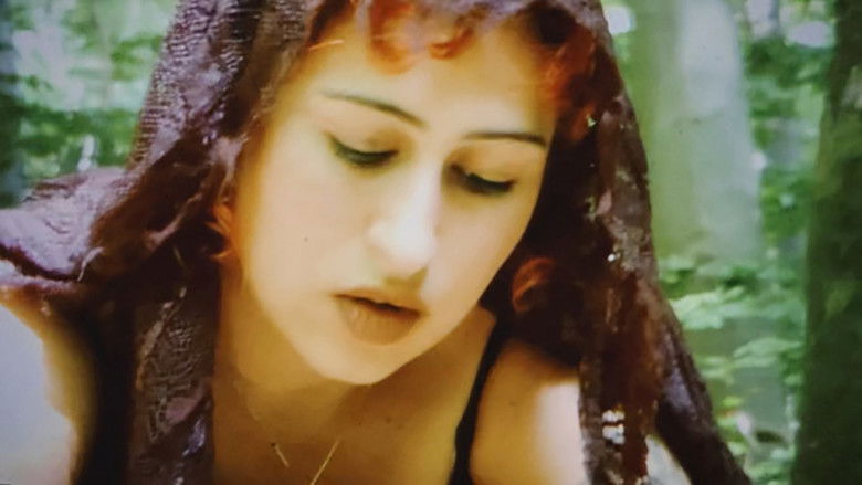 кадр из фильма Ballad of a Jutland girl