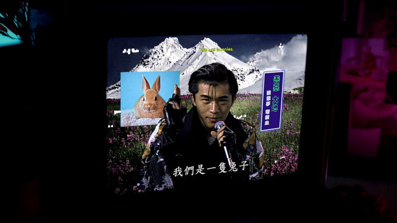кадр из фильма 三月的野兔