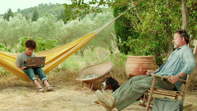 кадр из фильма Каникулы в Провансе