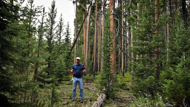 кадр из фильма Missing 411: The U.F.O. Connection