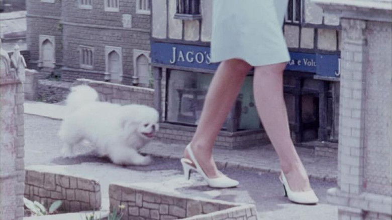 кадр из фильма One Summer in Somerset