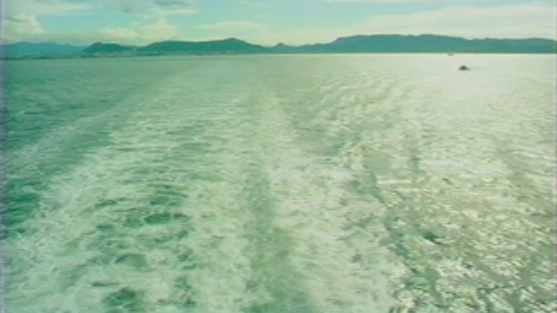 кадр из фильма 火垂