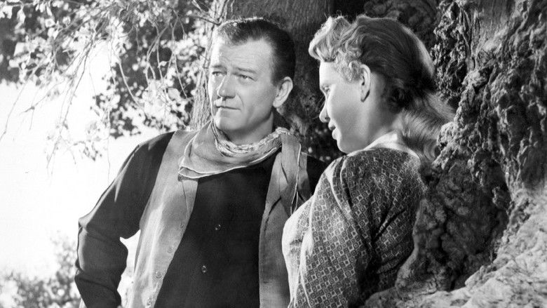 кадр из фильма Хондо