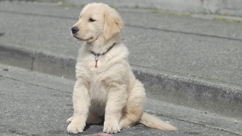 кадр из фильма Снежная пятёрка