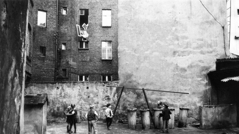 кадр из фильма Wojaczek