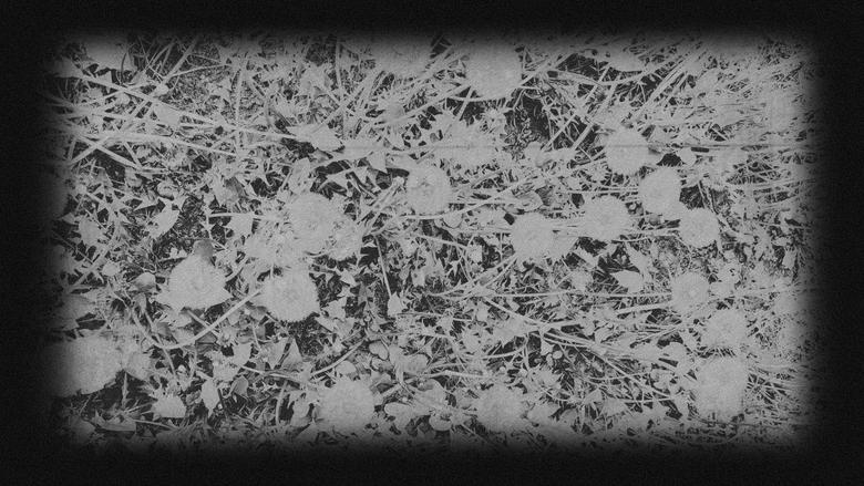 кадр из фильма In Bloom | A Ghost Story