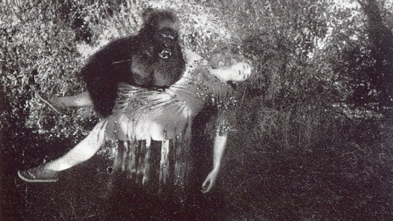 кадр из фильма The Devil Bear