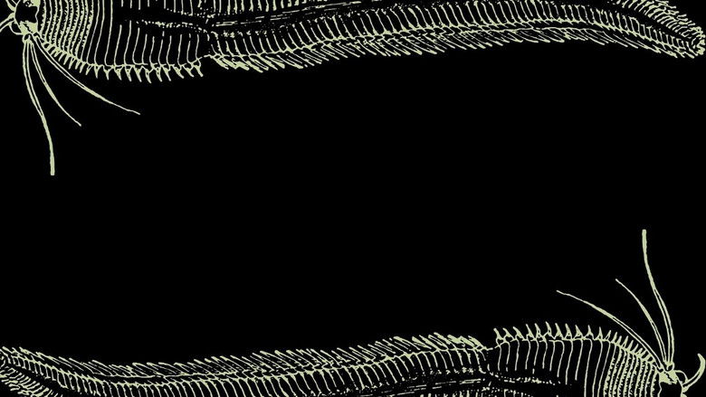 кадр из фильма Podres Alegorias