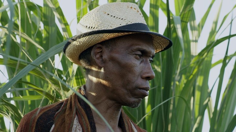 кадр из фильма Zaho Zay