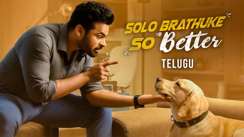 кадр из фильма సోలో బ్రతుకే సో బెటర్