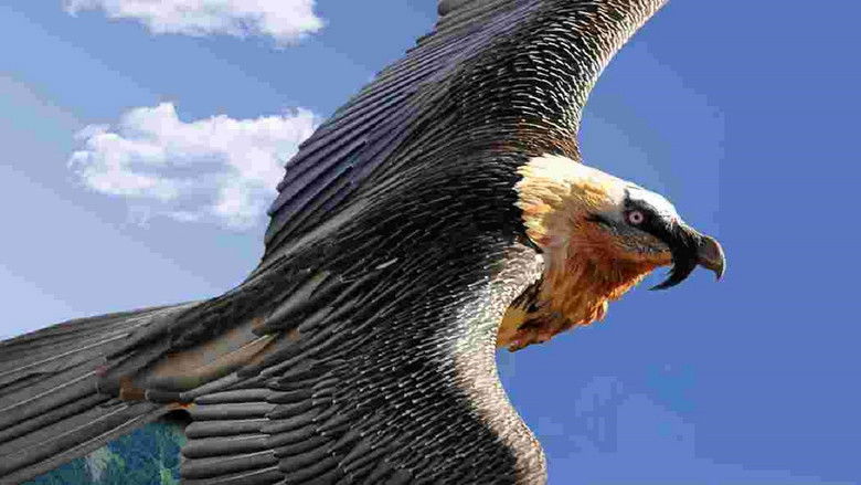 Les vautours sont de retour