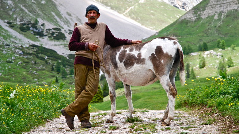 кадр из фильма Не в стульях счастье