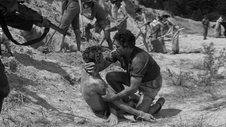 кадр из фильма The Camp on Blood Island