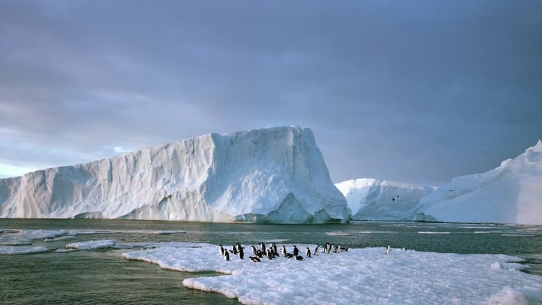 кадр из фильма Antarctica: On the Edge