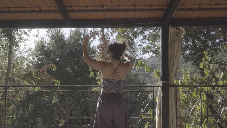 кадр из фильма The cats, the sea, and everything in between.