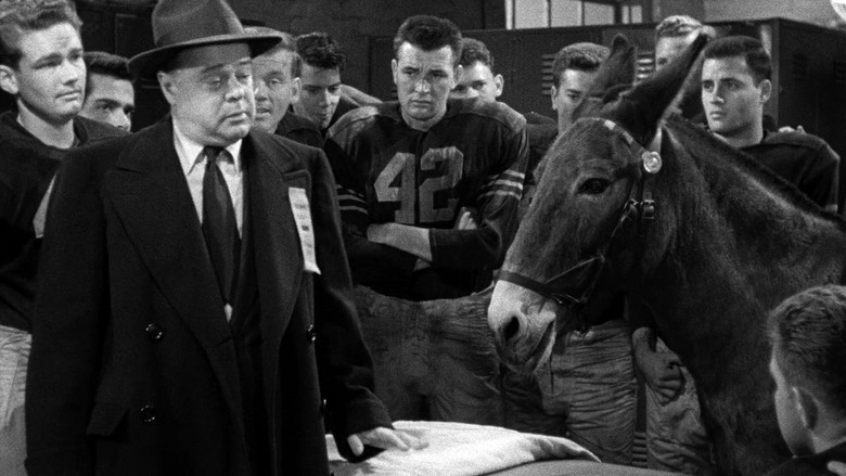 кадр из фильма Francis Goes to West Point