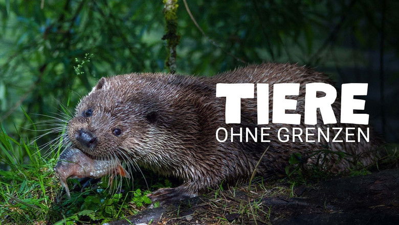 кадр из фильма Tiere ohne Grenzen