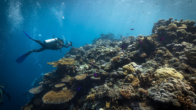 кадр из фильма The Map to Paradise