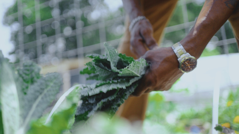 кадр из фильма Grow a Better Dallas