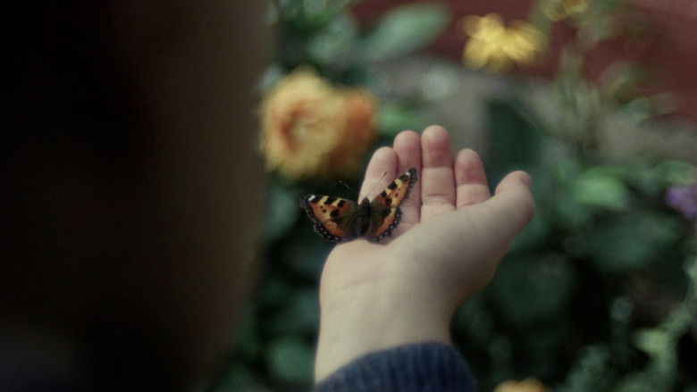 кадр из фильма Сентиментальная ценность