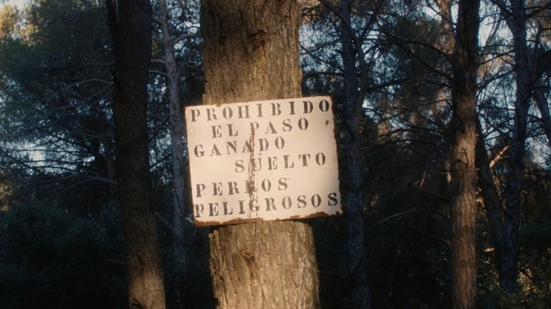 кадр из фильма Provocadora