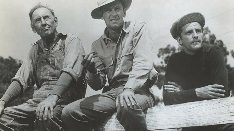 кадр из фильма Boots Malone