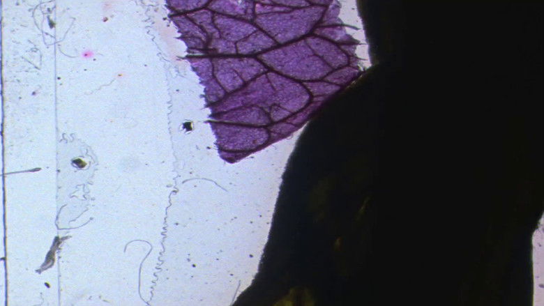 кадр из фильма Exploratorium Film