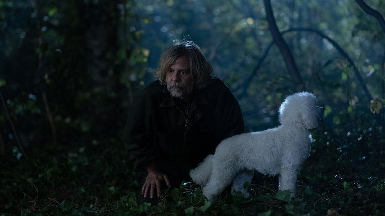 кадр из фильма Није лоше бити човек