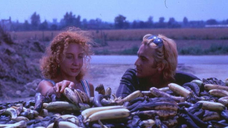 кадр из фильма Черные дыры