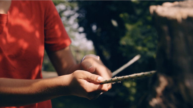 кадр из фильма Hiking