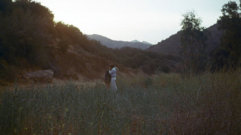 кадр из фильма The Mislayed Genie