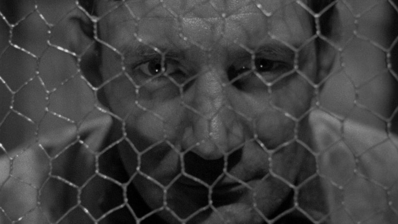 кадр из фильма They Made Me a Fugitive