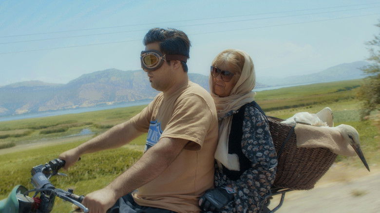 кадр из фильма ئاوازی باڵەکان