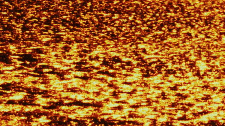 кадр из фильма 라 플랑트 당상트 드 데자스트르