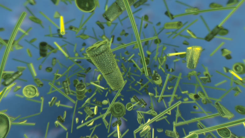 кадр из фильма Dynamic Earth: Exploring Earth's Climate Engine